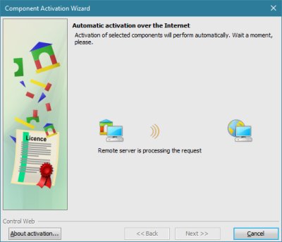 Component activation wizard will automatically connect to the activation server